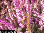 Schnappschüsse | Neulich vor der Kamera